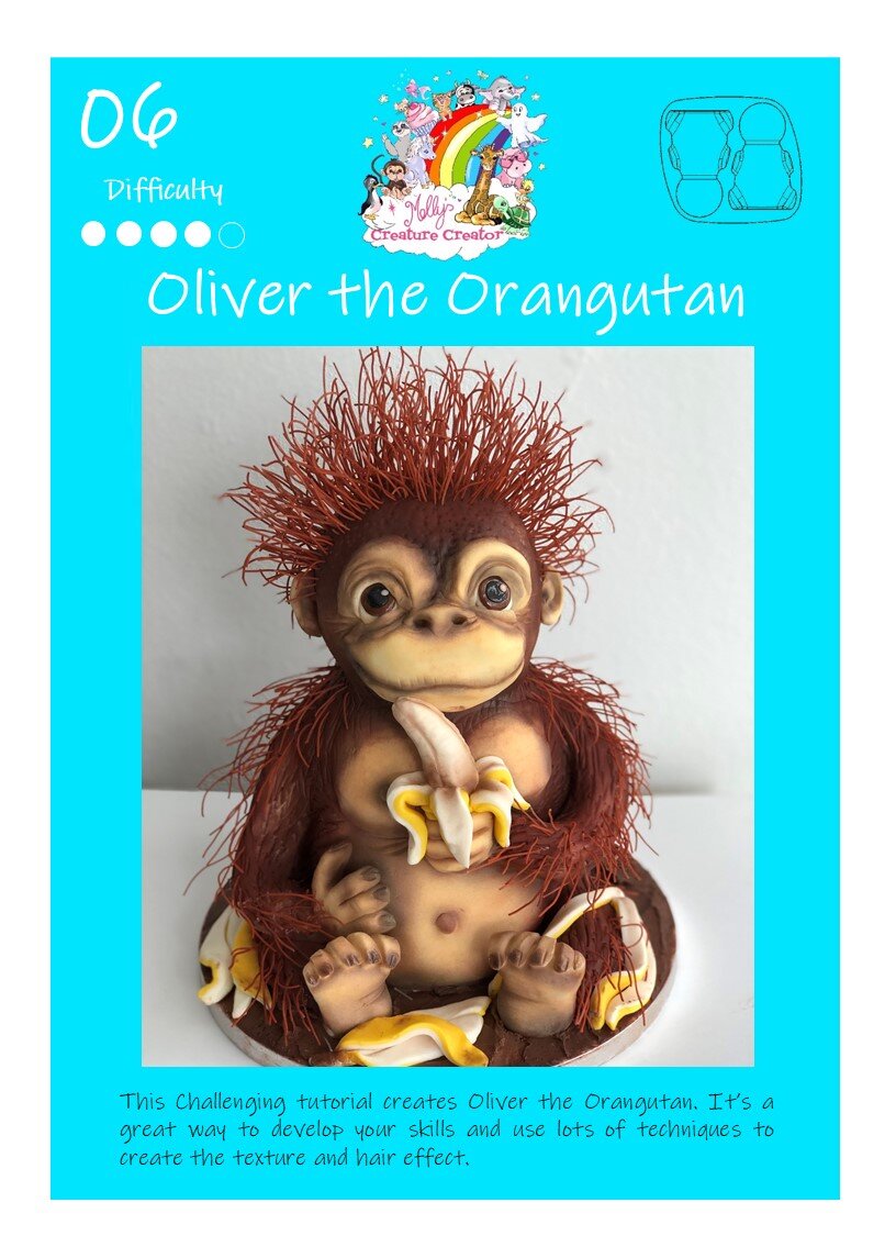 #06 Oliver